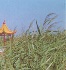&#76;&#69;&#89;&#85;&#46;&#67;&#79;&#77;&#45;&#20048;&#40060;&#40;&#20013;&#22269;&#41;